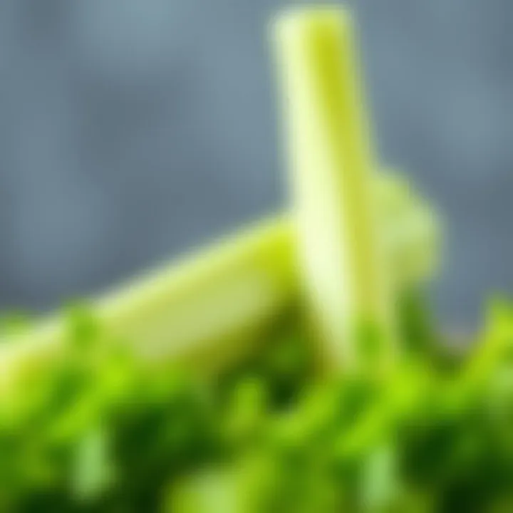 Notable The Role of Celery in Weight Loss: A Scientific Perspective Notable The Role of Celery in Weight Loss: A Scientific Perspective