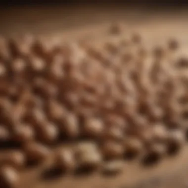 Diverse Selection of Nutritional Nuts A variety of nuts displayed on a wooden surface