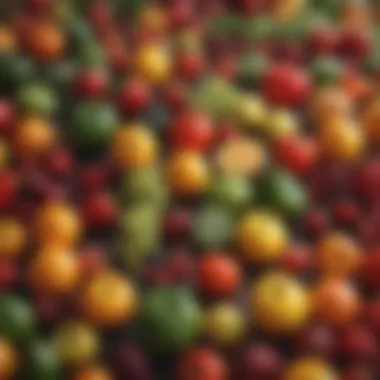 Vitamin B Sources An array of colorful fruits and vegetables rich in Vitamin B