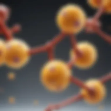 Vitamin B Complex Structures Illustration of Vitamin B complex molecules highlighting their structures