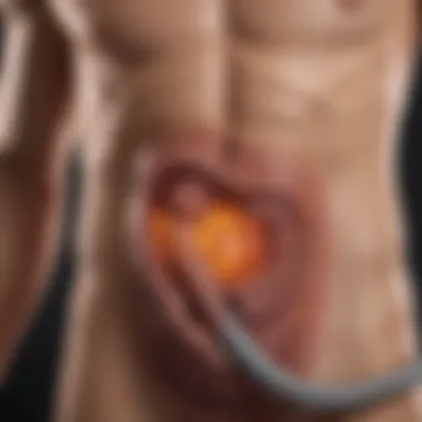 Gas Release in the Digestive System Visual representation of gas release in the digestive system