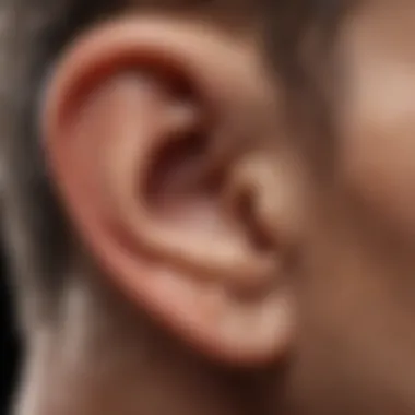 Anatomy of the Ear: Understanding Clogged Areas Illustration of ear anatomy highlighting clogged areas