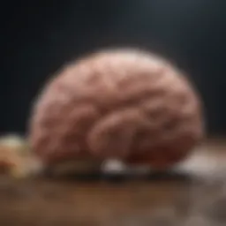 Illustration of brain activity related to hunger signals