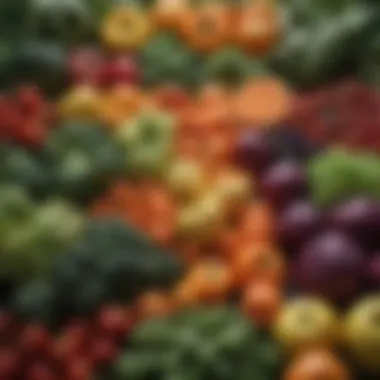 Nutritional Choices Fresh vegetables and fruits arranged in a colorful display
