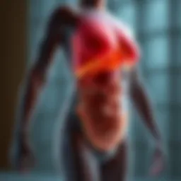 Visual representation of fat distribution in the body