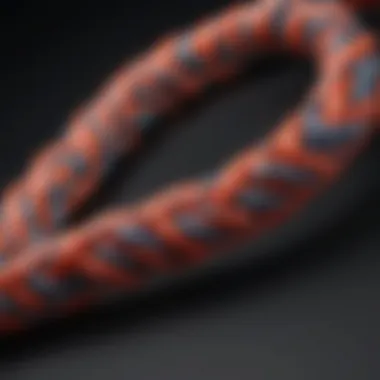 The Unique Design of SPRI Braided Resistance Bands Detailed view of SPRI braided resistance bands showcasing their unique design