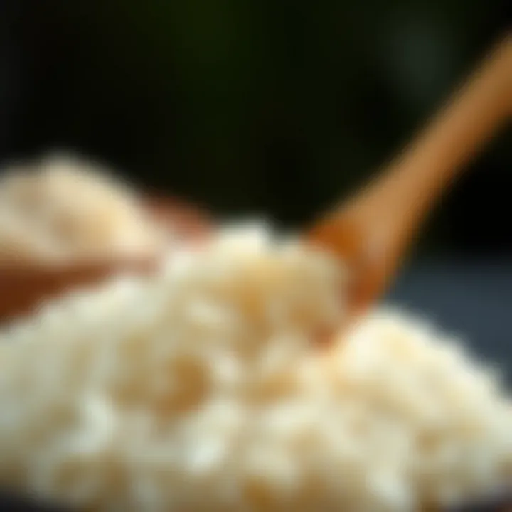 Physiological Effects of Carbohydrates Physiological effects of carbohydrates in white rice