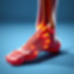 Illustration of foot nerves and their connections