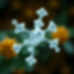 Illustration depicting the molecular structure of Campho Phenique