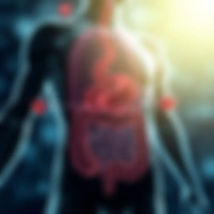 Diagram illustrating the immune system's interaction with gut bacteria