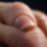 Close-up of a healthy toenail showcasing proper care.