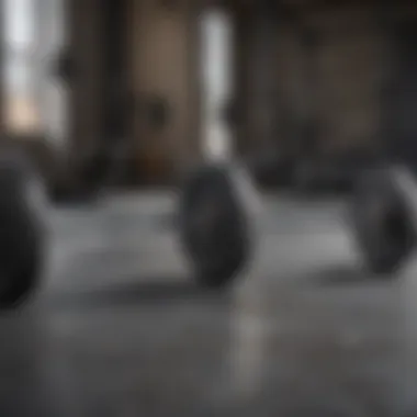 Different types of barbell sets displayed on a gym floor